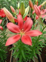 [4046 Treasure Island No02.JPG]